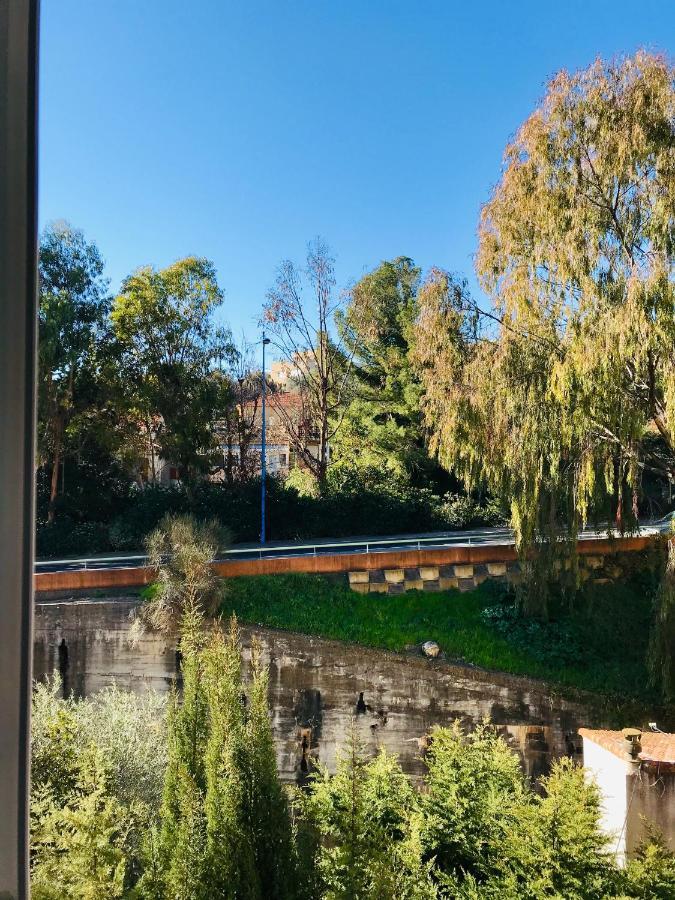 Appartement Paloma Proche Cannes Le Cannet Zewnętrze zdjęcie